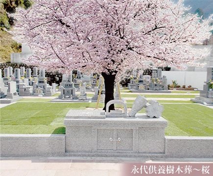 桜　※2人・家族用/永代の写真1