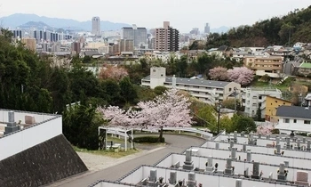 日当たり良好！広島市街を一望できる阿弥陀堂三滝公園墓地