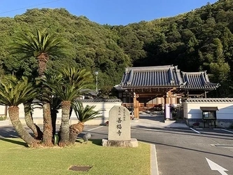 多様な供養形態に対応した墓地