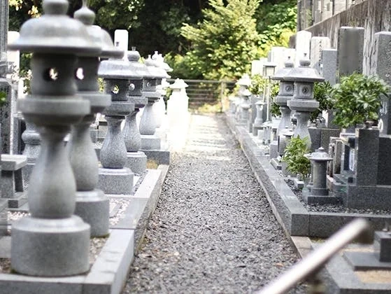 このがわ千年精舎 高龍山 善福寺 