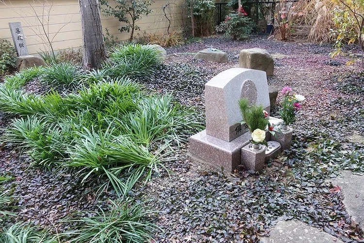 広島市南区 林鴬山 憶西院 超覚寺