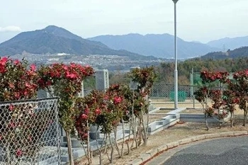 季節ごとの花々が彩る参道