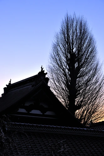 西教寺 永代供養墓 