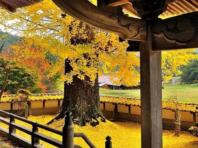 西教寺 永代供養墓 