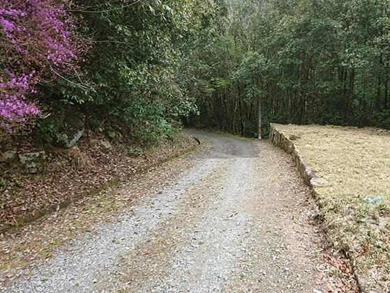 下河内墓園 