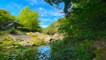 市が管理する安心の坪生町川原山墓苑