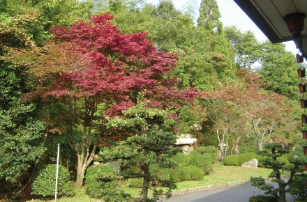 広島市安佐北区 浄光台霊園  蓮華堂