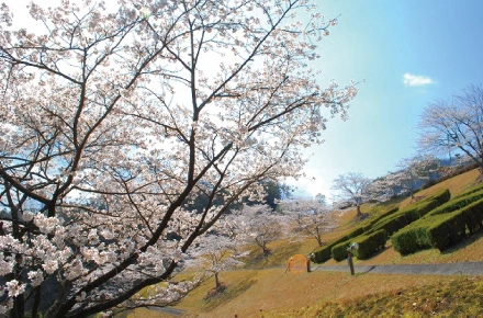 広島市安佐北区 浄光台霊園  蓮華堂