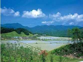 創価学会の民営霊園