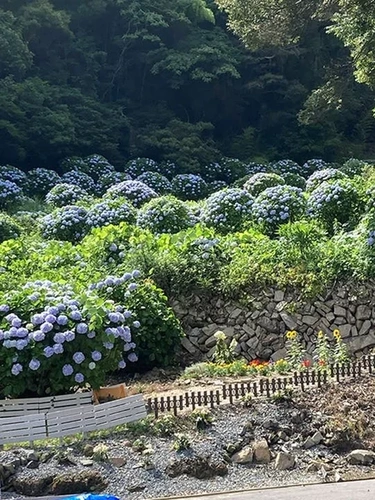 樹木葬あじさい霊園 