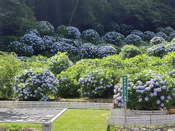 樹木葬あじさい霊園 