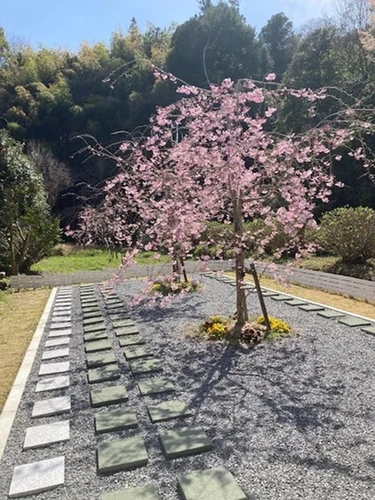 樹木葬あじさい霊園 