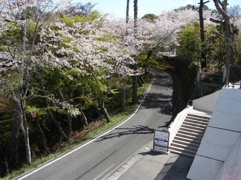 眉山さくら霊園 