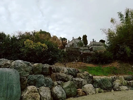 成福寺霊園 