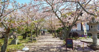 安心のバリアフリー設計