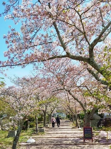  道後聖墓苑