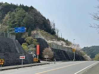 ペットと一緒に眠れる民営霊園