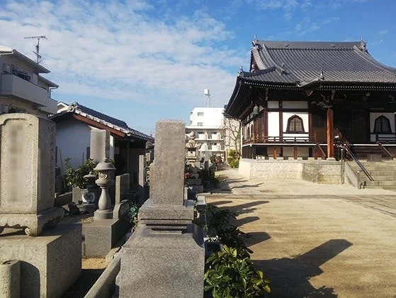 松山市 不論院