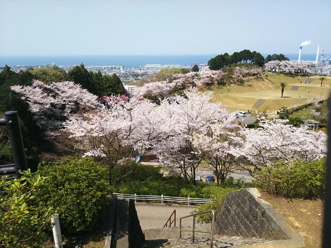 四国中央市営 桃山墓園 