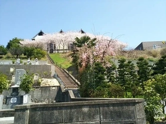 四国中央市にある公営霊園