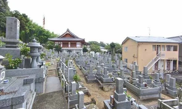愛媛県の全ての市 龍泰寺墓苑