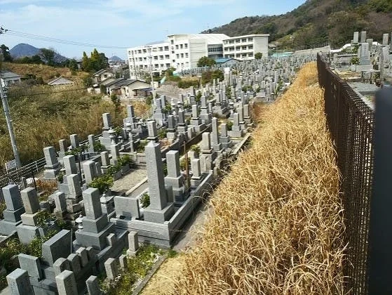 愛媛県の全ての市 松山市営 大入谷墓地
