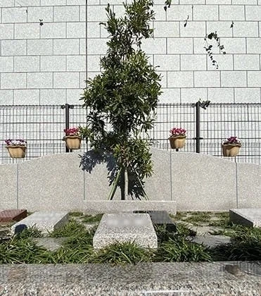 千代田区 外苑こもれびの杜 樹木葬・永代供養墓
